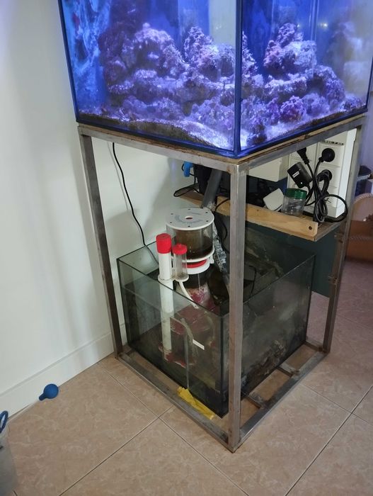 Aquário Agua Salgada 60x60x60 completo