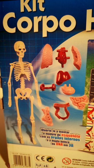 Puzzle Corpo humano