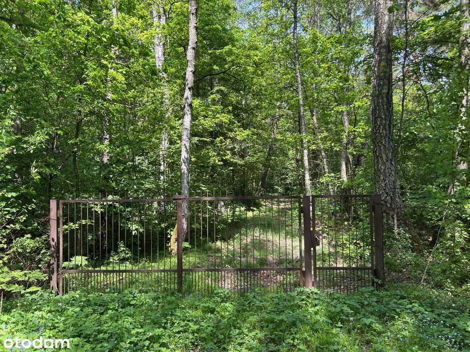 Piękna działka , ogrodzona tylko 150/m2 - 2x 4500m2 po podziale