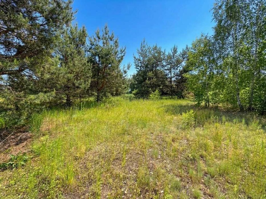 Продаж ділянки 12 соток для садівництва. Електрика поруч. Біля озера. ID:829
