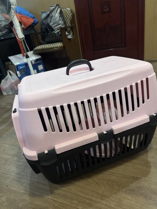 Боксы контейнеры для переноски животных