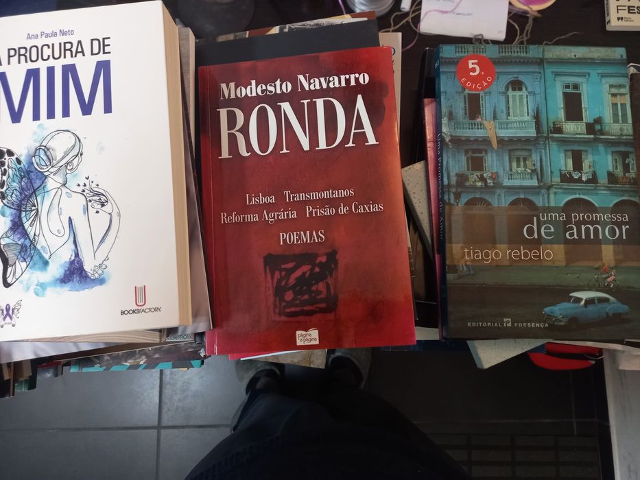 Livros portugueses bons e baratos