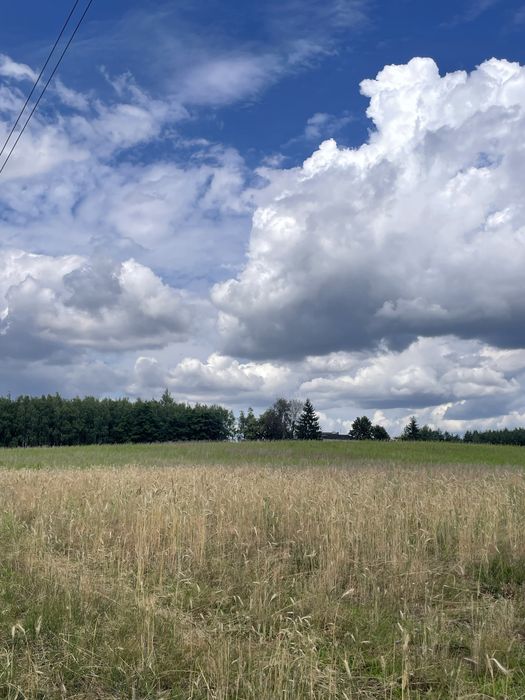 Sprzedam działki * Handlowy Młyn *