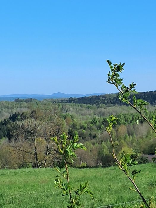 Działka 2500 m z WZ z widokiem