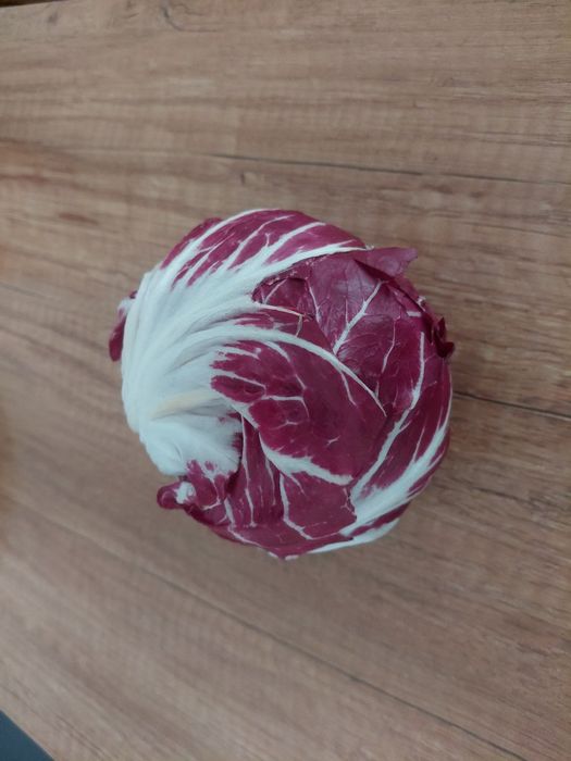 Nasiona warzyw, kwiatów i ziół. Kolekcjonerskie.