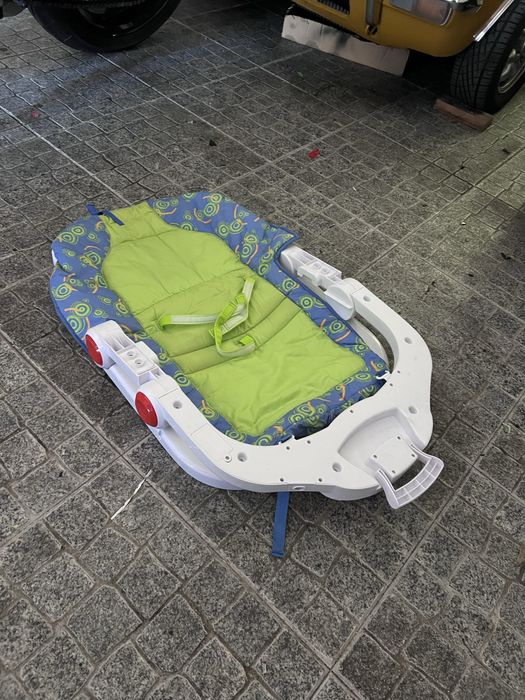 Chicco Ergo Gym Trainner