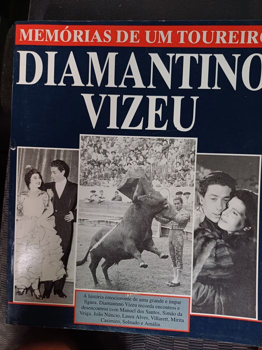 Bullfighting Book