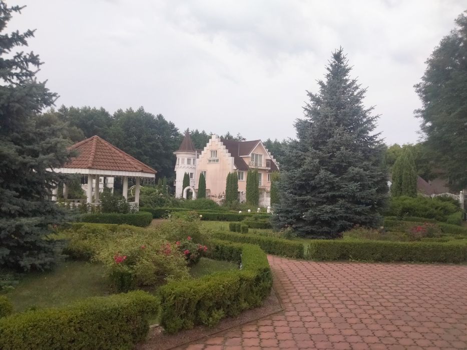 House in Perlyavka, Zhytomyrskyy rayon - View 2