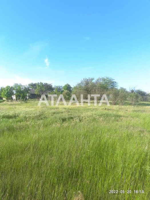 Продам будинок у селі Паліївка з земельною ділянкою 107 соток!