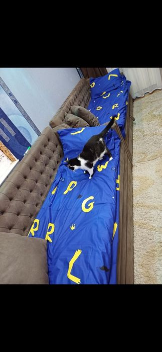 Диваны  2 шт  в нормальном сосотянии