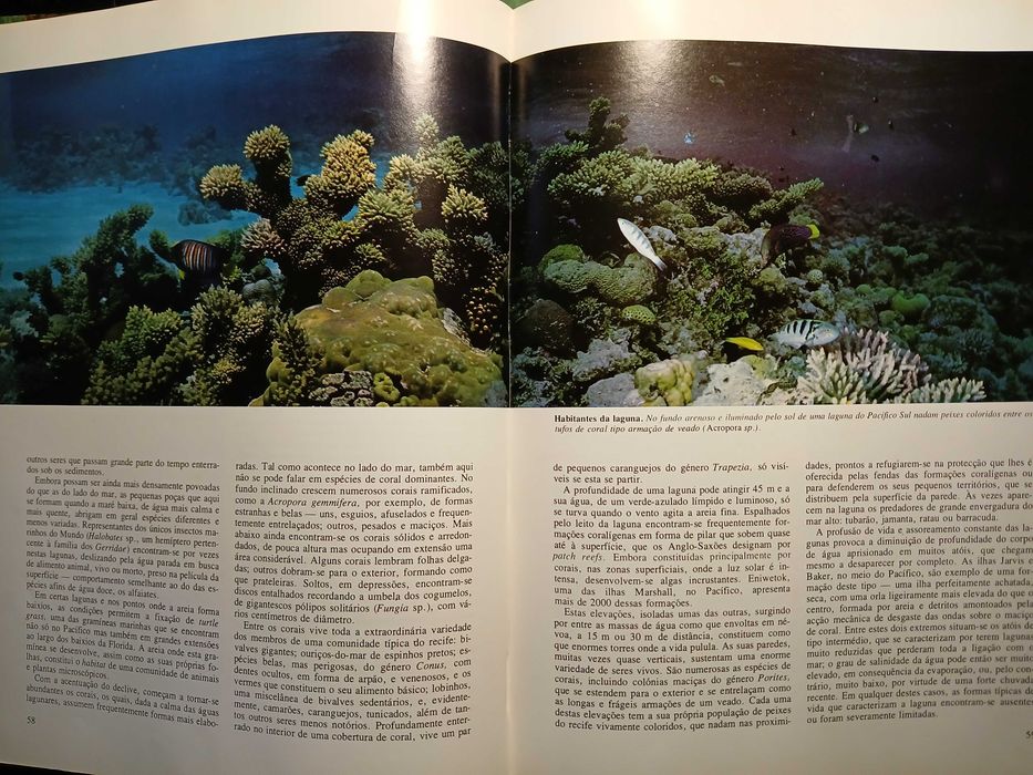 Segredos do Mar - O Mundo Fascinante dos Oceanos e das Ilhas