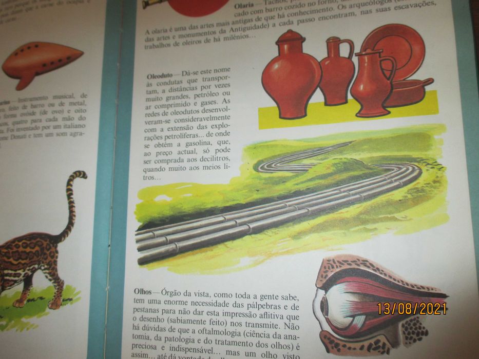 Enciclopédia infantil ilustrada - 6 volumes