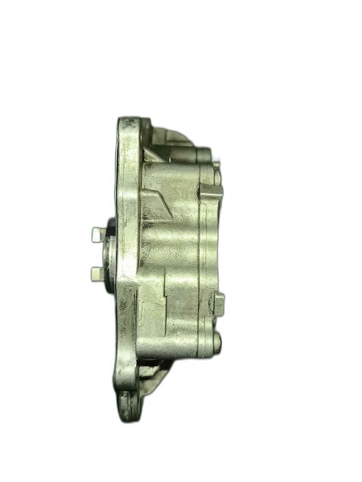 Bombas de Vácuo VW PASSAT B6 03L145100F (OEM)