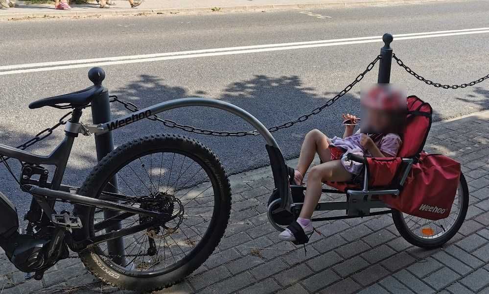 Przyczepka rowerowa Weehoo