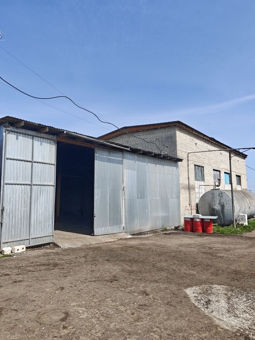 Продаж майнового комплексу та діючого експортно-орієнтованого переробного підприємства