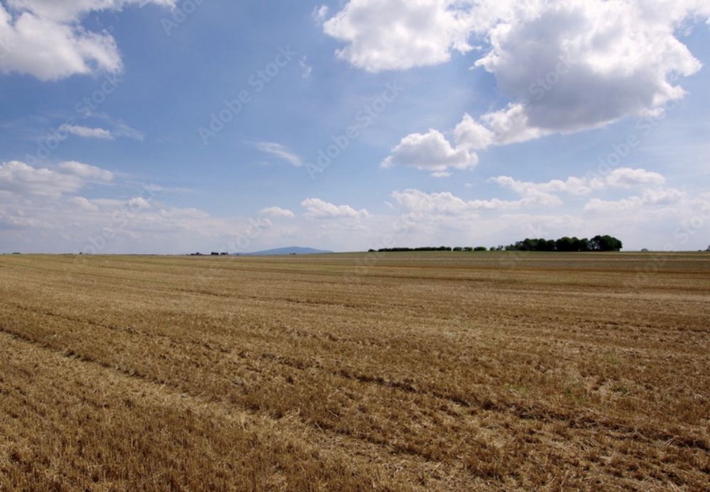 Działka rolna/pole rolne 80ha/jeden kawałek