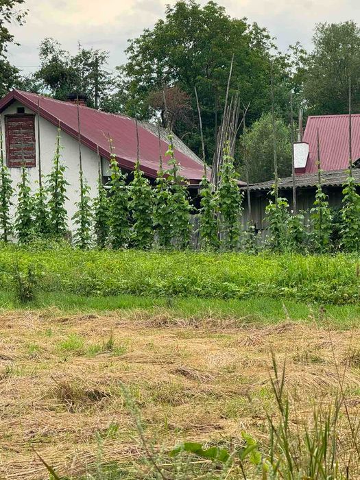 Земельна ділянка, с. Крехів