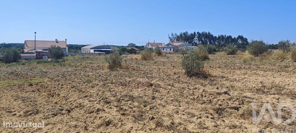Terreno para construção em Branca de 7020,00 m2