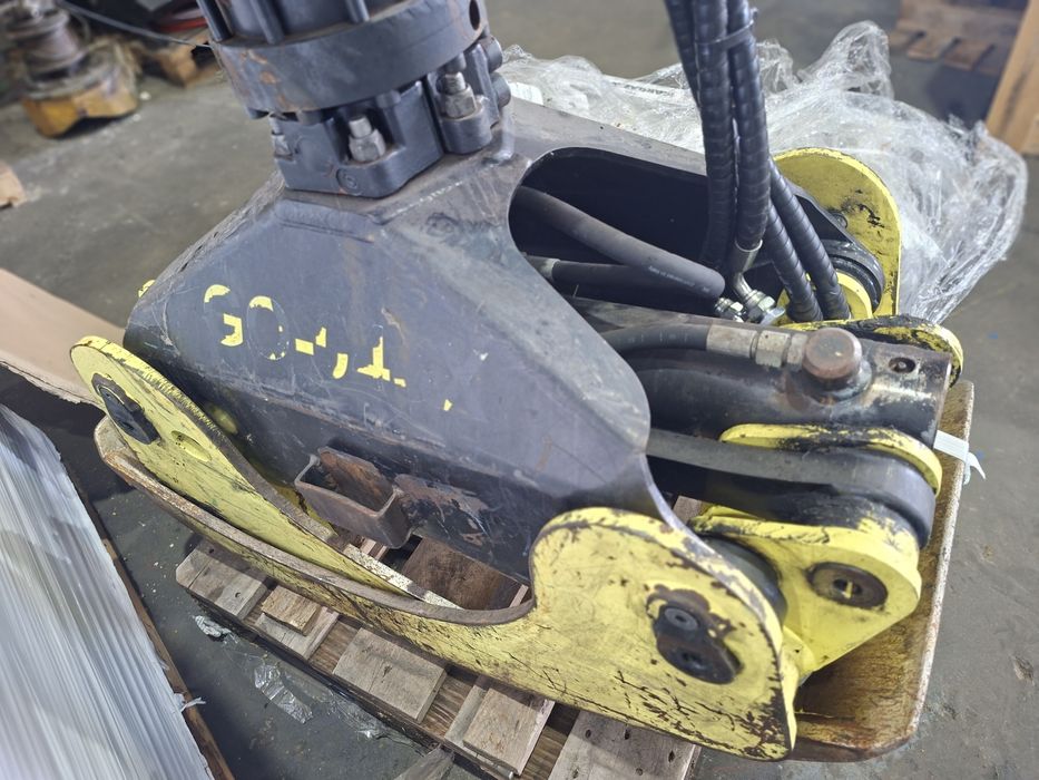 Pinca grifa florestal 043