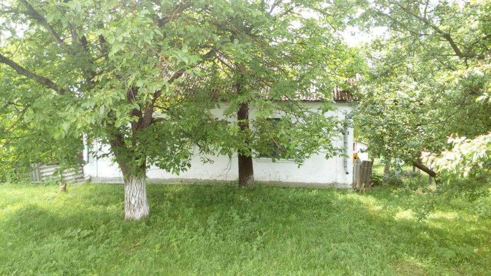 Продам господарство