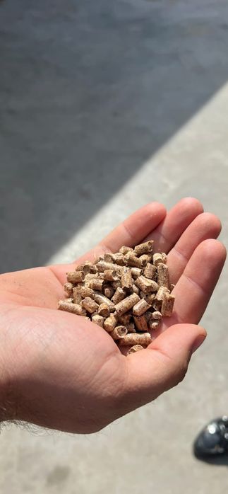 Пелета  паливна та паливний брикет руф