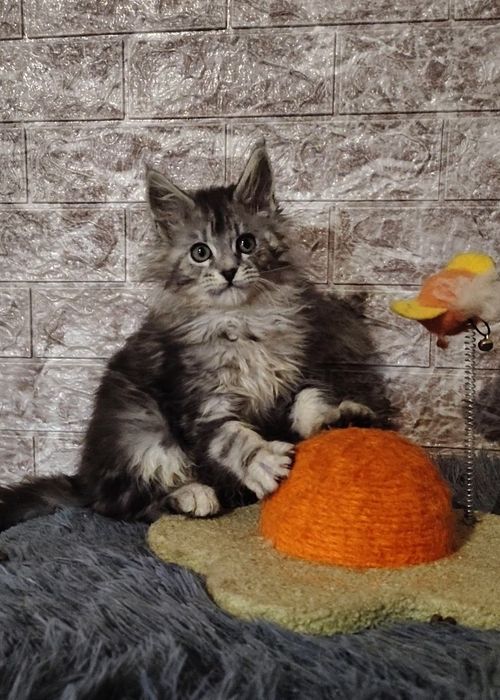 Серебряные лапулички