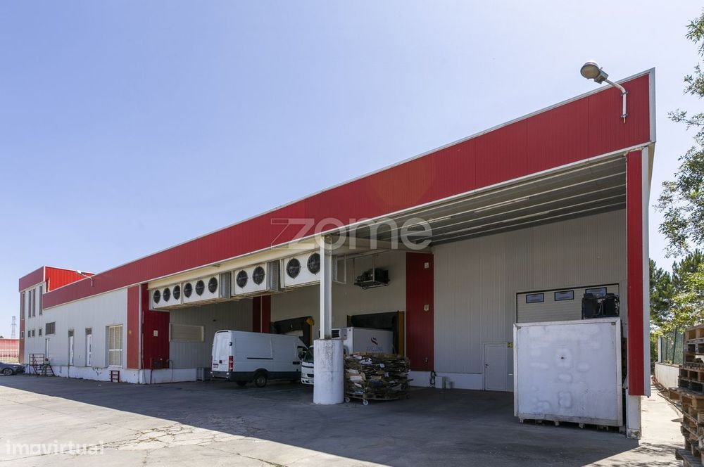 Oportunidade de Investimento, em Mogadouro