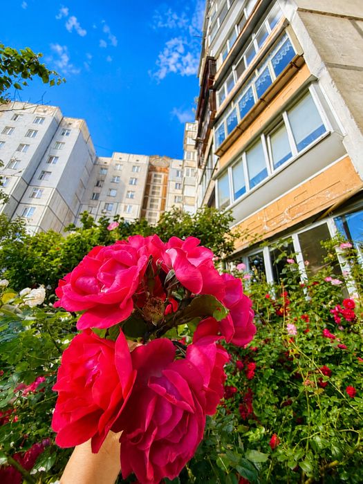 Три кімнати простору і гармонії! Вишневе, Чорновола 42Б