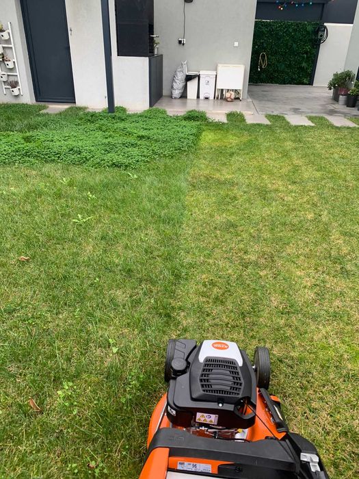 Temos serviços de jardinagem