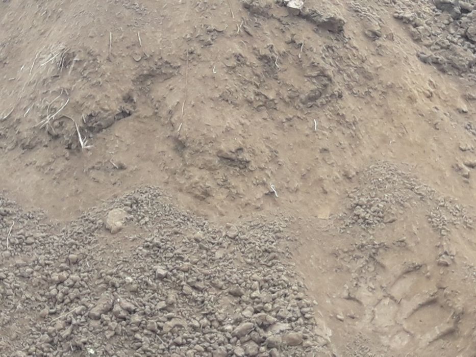 Piasek kopany czysty ziemia ogrodowa