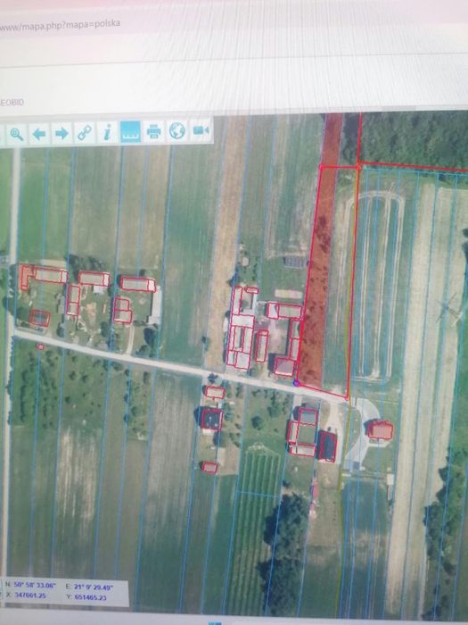 Działki rolno-budowlane 1,5978 ha – Dąbrowa, gmina Pawłów – UZBROJONE