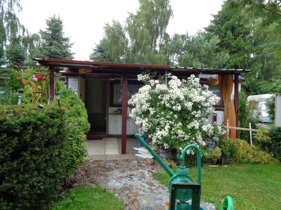 Mały domek  oraz przyczepa do wynajęcia 50 zł od osoby.