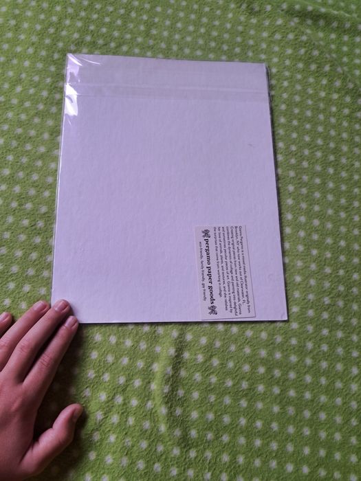 Obraz przedstawiający kota