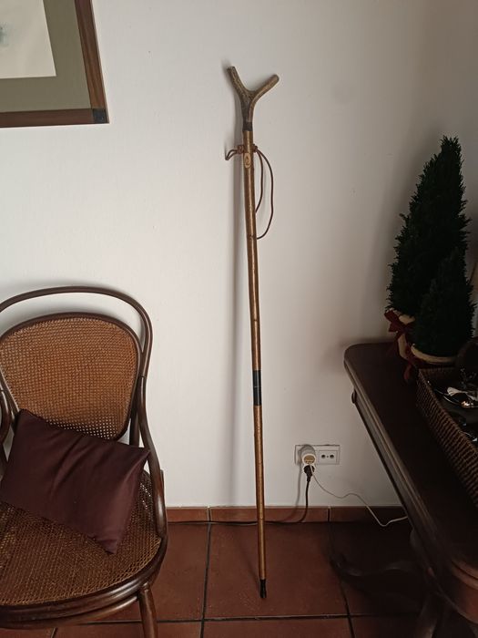 Vara de caça com forquilha