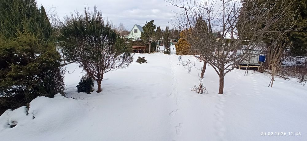 Działka rekreacyjna ROD