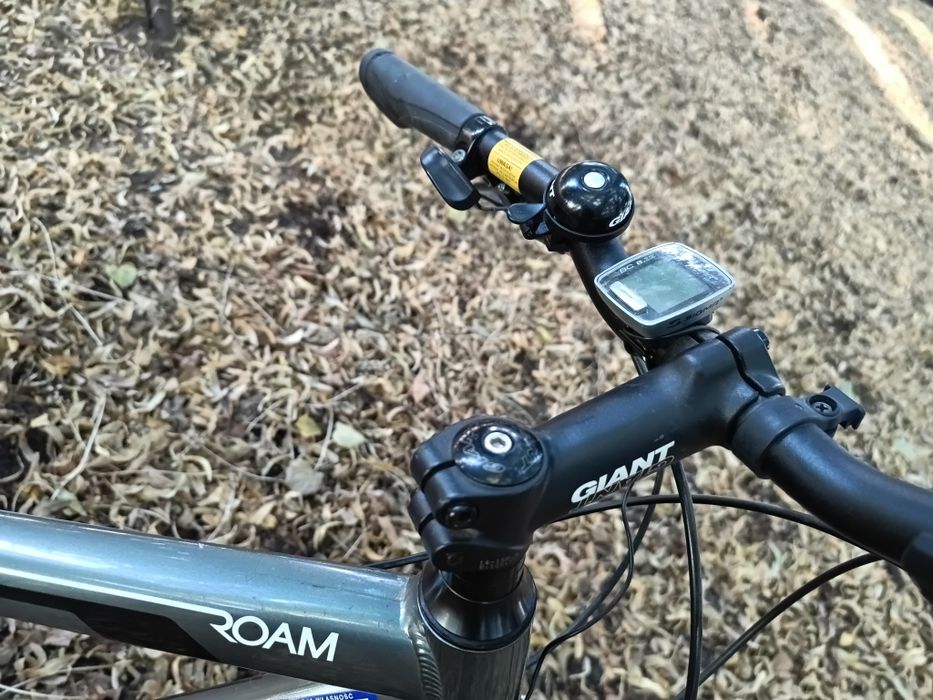 Rower Giant Roam 4 L