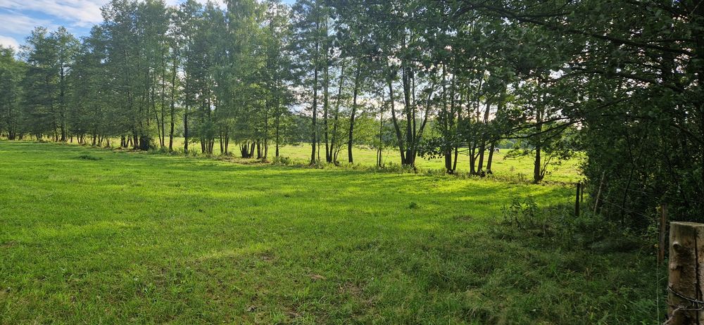 Działka 10.05 ha Mazury w Jednym Kawałku