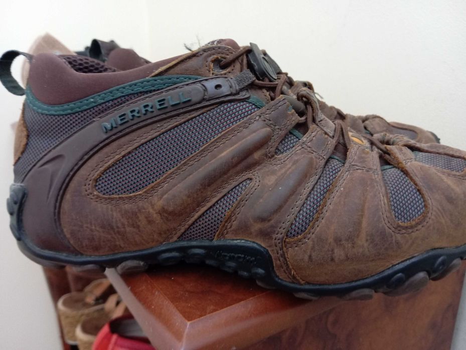 Sapatilhas Chamelleon 42