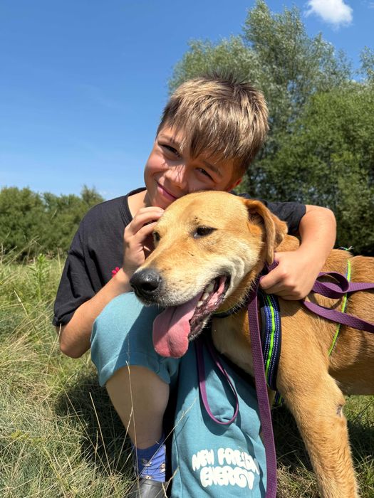 Jetson – rodzinny przyjaciel, który wciąż czeka na swój cud!