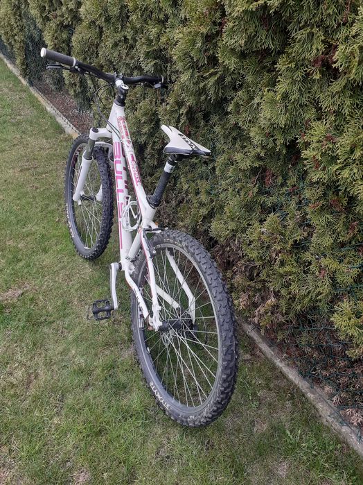 Rower trekingowy Cross