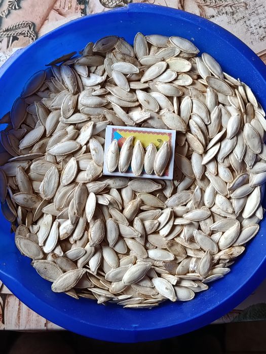 Гарбузове насіння смачне та корисне