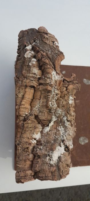 Presépio madeira antigo