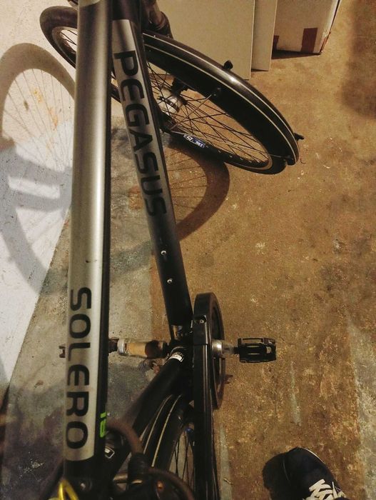 Bicicleta de Trekking Pegasus Solero | Alumínio | Shimano Alivio