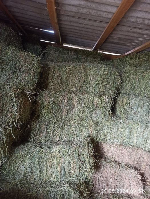 Продам сіно солому люцерну
