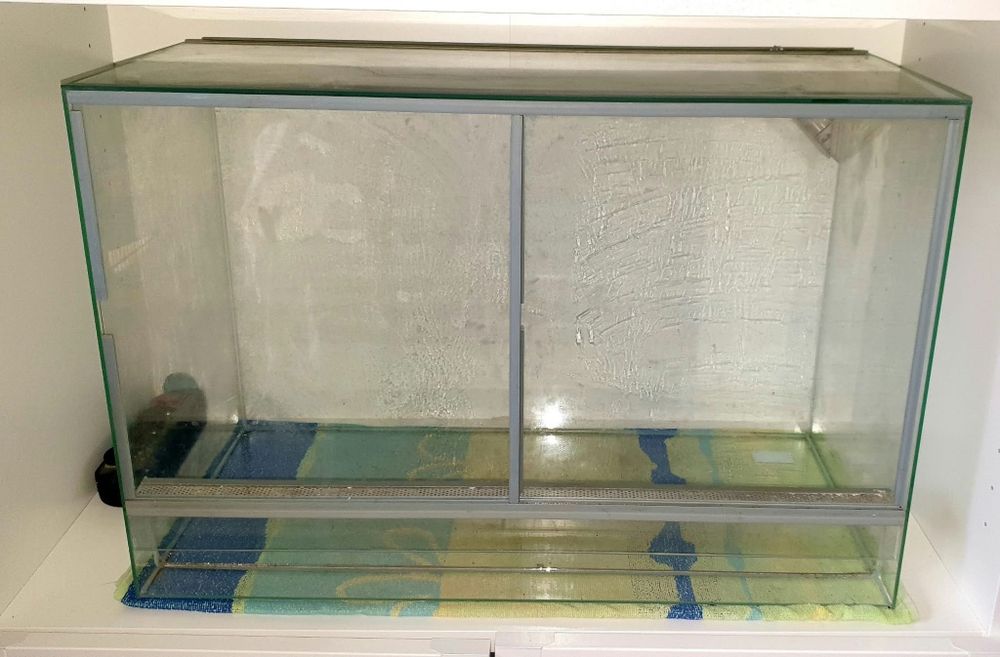 Terrarium dla pająka lub gada