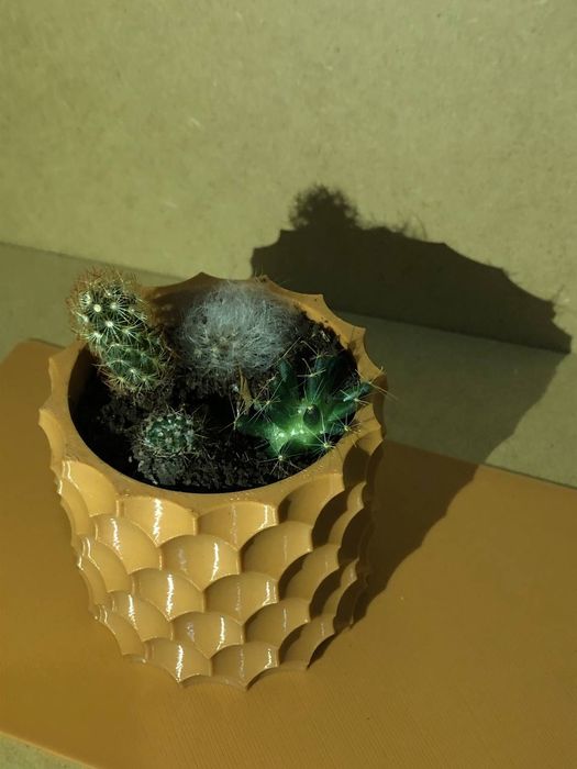 Вазон для сукулентів