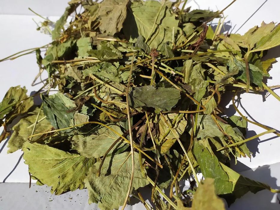 Suszony liść truskawki 1 kg