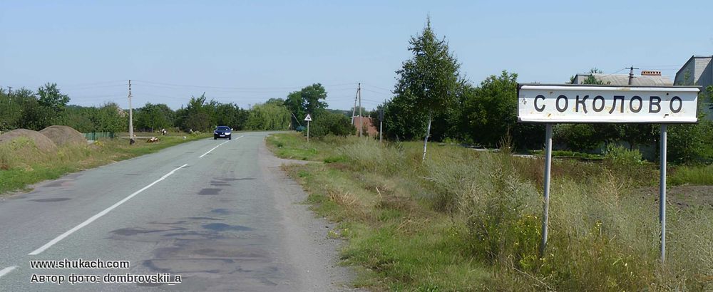 Продам 2 участка по 60 соток с. Соколово