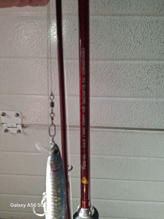 Pesca, canas , carretos e amostras
