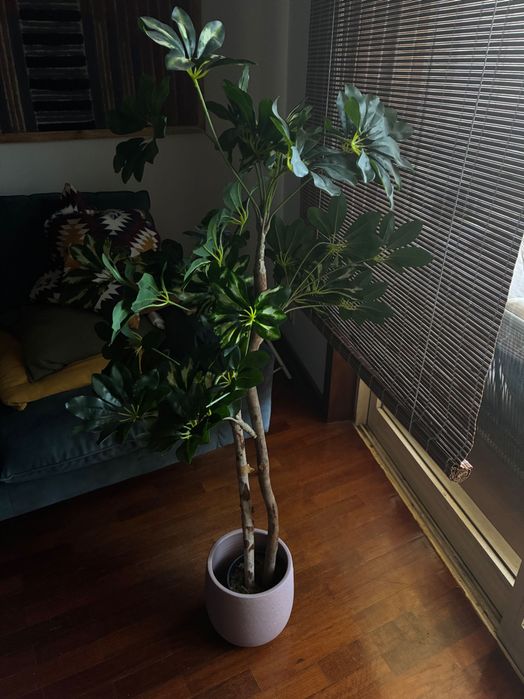 Planta artificial 145 cm